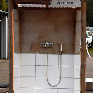 Hund Dusch