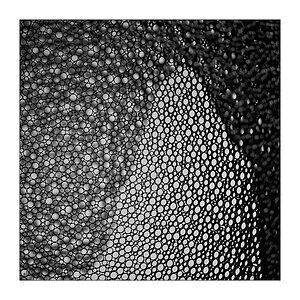 263/365
