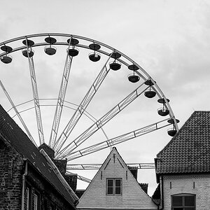 IMG 0144bw