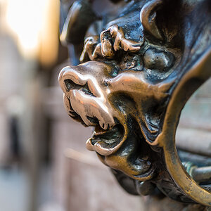 Löwenkopf Residenz München