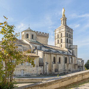 DSC5267