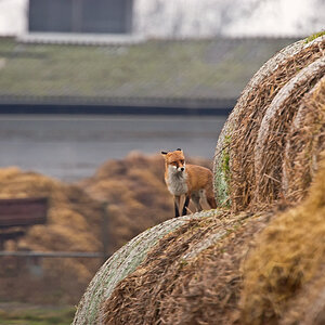 Hof Fuchs