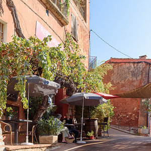 DSC5628
