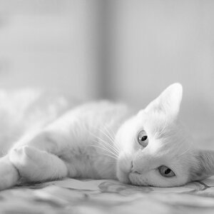 2018 09 27 12 34 04 DSC 7346