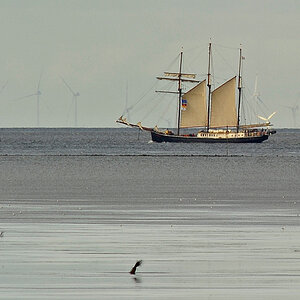 D3S0937AAPxl