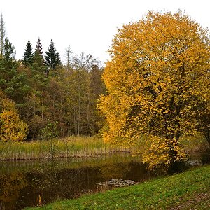 Kohlweiher 2018 24440