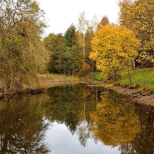 Kohlweiher 2018 24441