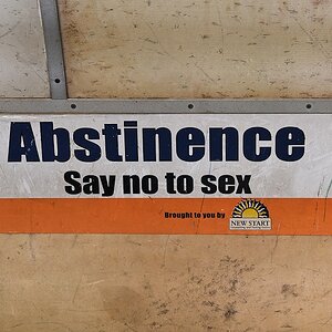 s629 Abstinence 8578