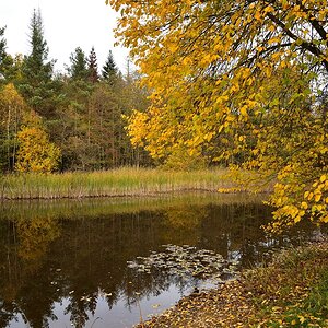 Kohlweiher 2018 24443