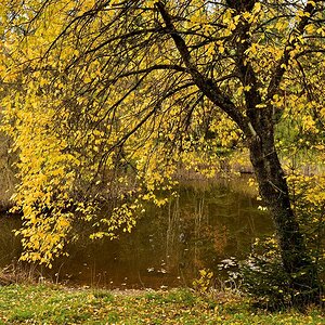 Kohlweiher 2018 24444