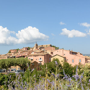 DSC5699