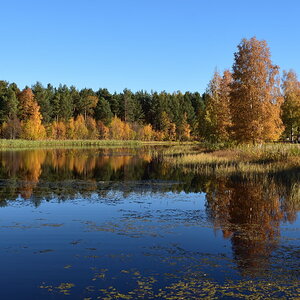 D72 8708 00001