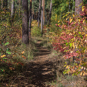 Herbstpfad
