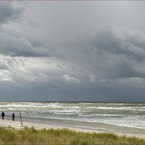 comp 16594   Weststrand