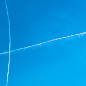 Linien 1339