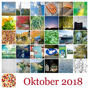 Mosaik 2018 10