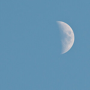 mond 4416