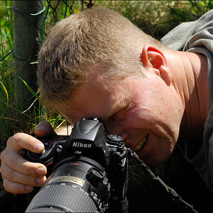 Elmar D2X 3105 1
· http://www.nikon-fotografie.de/vbulletin/showpost.php?p=1050127&postcount=367