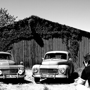 c Buckelduo 0412