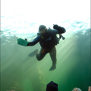 Taucher D2X 1735 2b

· http://www.nikon-fotografie.de/vbulletin/showpost.php?p=1256231&postcount=188