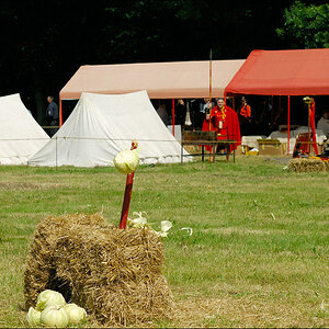 Römer Germanentage 2009 D2X 2263 1