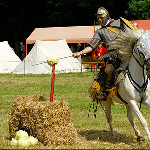 Römer Germanentage 2009 D2X 2261 1