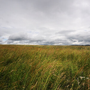Horizont