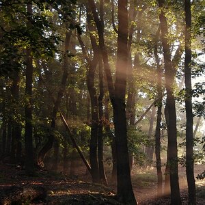 Licht und Schatten 2