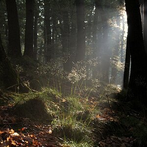 Licht und Schatten 1
