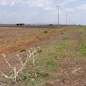 DSC 5302
