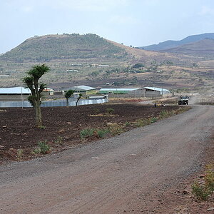 DSC 5319