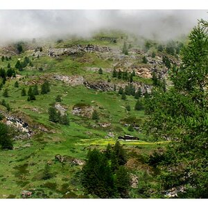 Bergfruehling