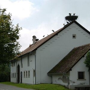 DSC 0032