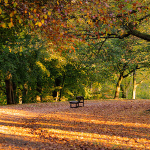 Park