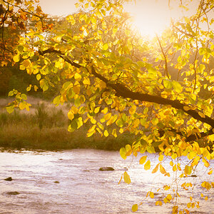 River