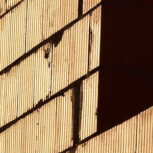 DSC 3300 Forum Crop100
