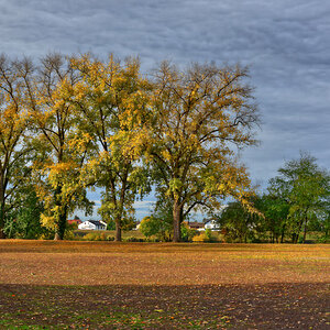 herbstliches ladenburg 1200