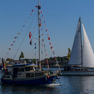DSC1396