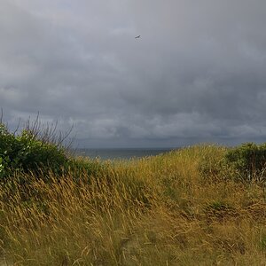 Domburg  DSC0287 00094
