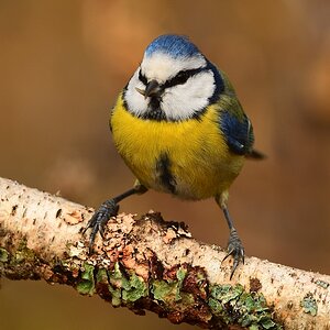 2018 24669