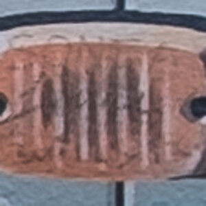 DSCF0079 1