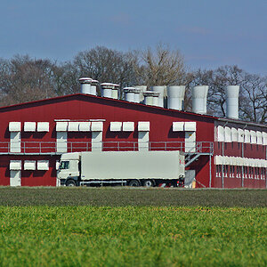 DSC 0368Kxl