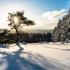 Schnee