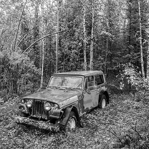 Lost in the Yukon