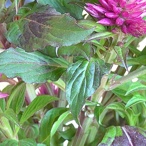 test9 (1) AF