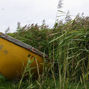 Föhr WYK