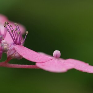 DSCF9321 1

Zartfarbe