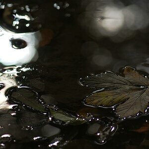 DSCF0942 2
Waterlights