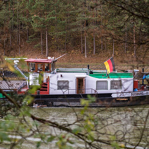 Waldfahrt