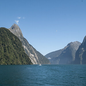 Milford Sound2